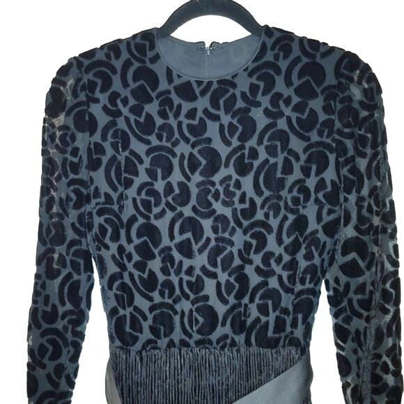 Miss Dior Collection Sheer Velour Pleated Whimsigoth Dress 60-70's Wednesday - Picture 3 of 10